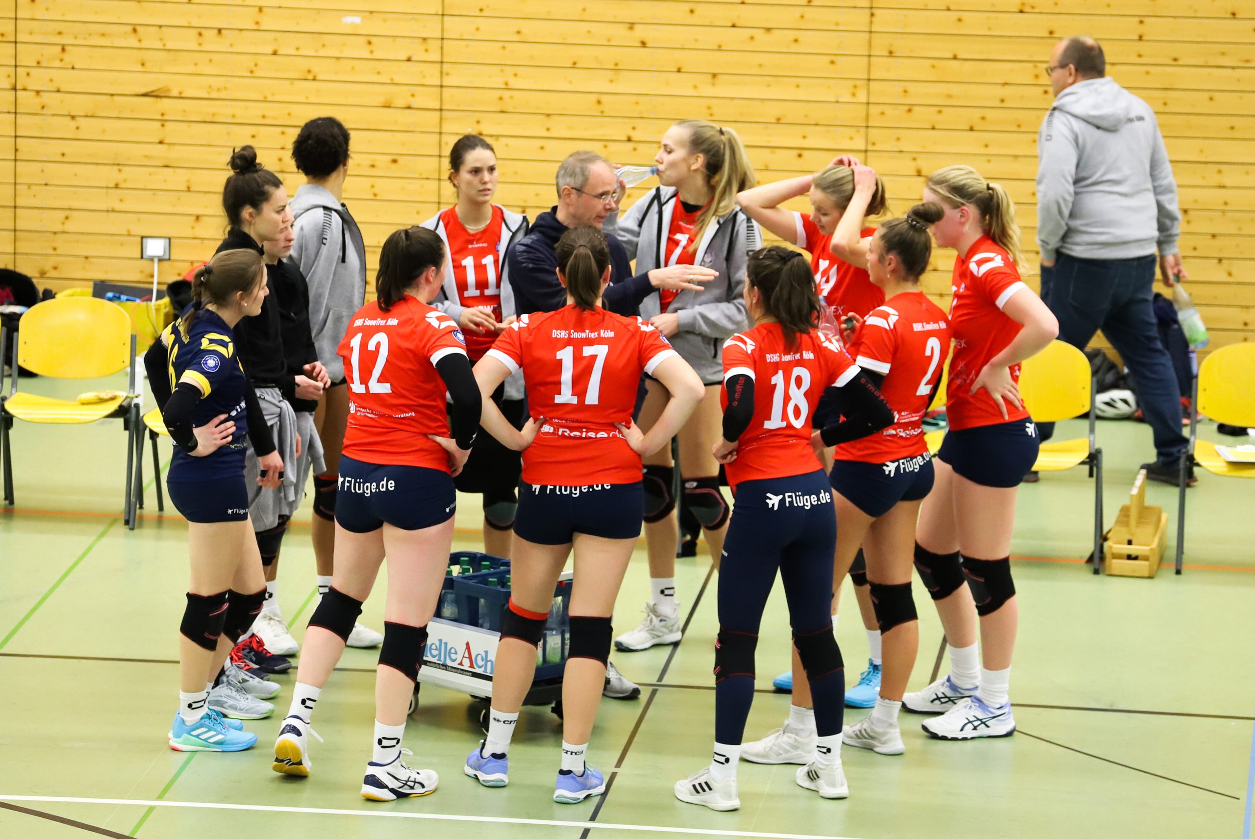 Dshs Snowtrex Köln Empfängt Mit Den Stralsunder Wildcats Einen Meisterschaftsfavoriten Dshs 