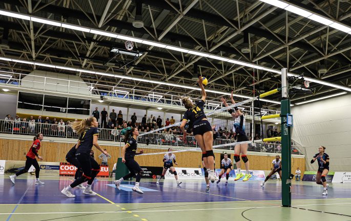 DSHS SnowTrex Köln mit letztem Heimspiel im Jahr 2024 gegen Skurios Volleys Borken